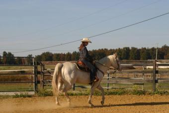 Kentucky Horse farm for sale Leitchfield