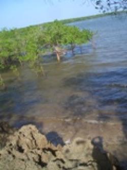 Creeck/sand Beach shimoni Mombasa Shimoni (south Coast)