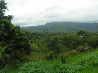 Land for sale Burka, Tanzania Arusha