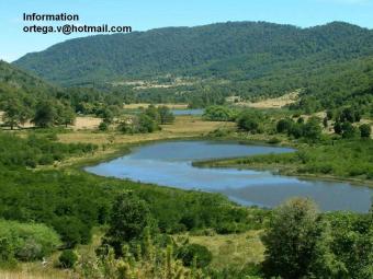 sell land with water in chile/ Villarrica