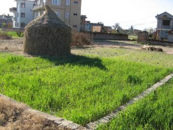 land on sale at sirutar Sirutar 6