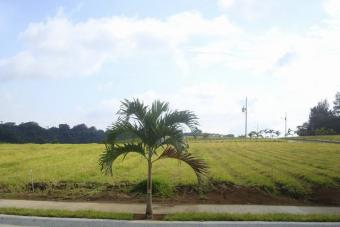 Lot in Grecia, COSTA RICA Alajuela