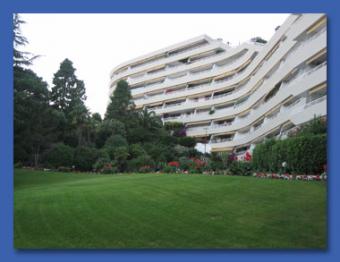 CANNES   .PALMEDAZUR Cannes
