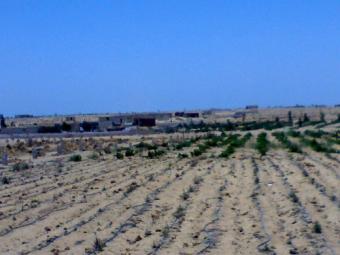 5 Fedden on Cairo - Assoiut Hwy Al Fayyum