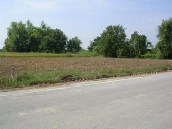 land for in Banthi,Chiangmai for Chiang Mai