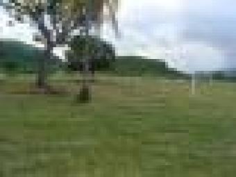 Cheap Country lot San Carlos
