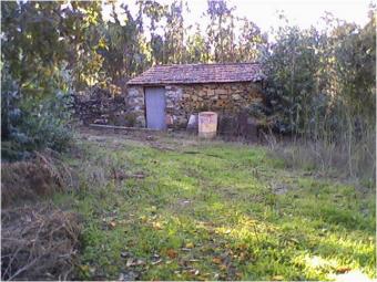 Land with ruin house Pombal