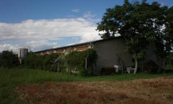 Farm and Farm House for rent Ptuj