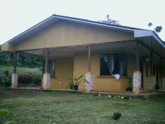 Real Estate Agent Alajuela