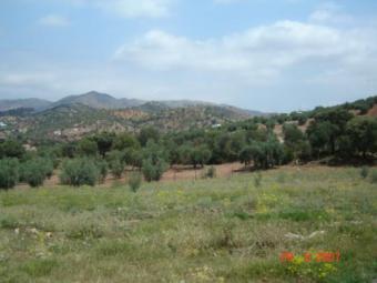 ref 1833-Country house Malaga