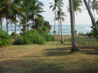 Premium Lands Beach front Bali