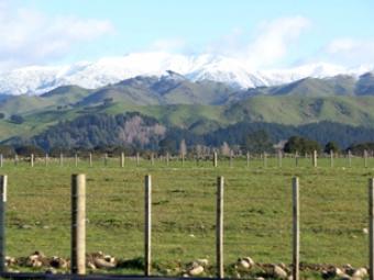 Sought after country lifestyle Wellington