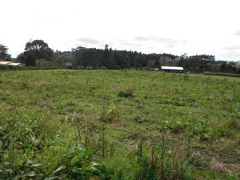 Kumeu, Lot 2, Farrand Road Kumeu, Auckland