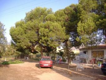NICE RURAL HOUSE IN ALICANTE Alicante