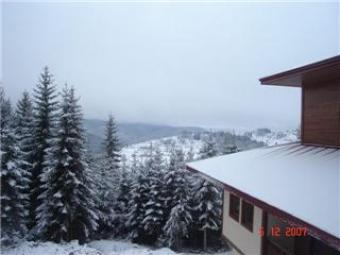 Mountain & Ski resort  Bulgaria Pamporovo
