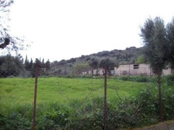 PLOT IN ANTIRRIO Antirrio