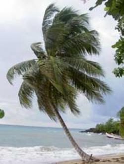 Punta Cana beach front property Punta Cana