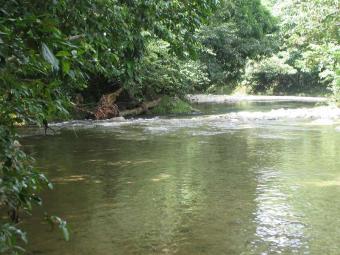 Eco Farm river and seaview 1.6km Rio San Juan