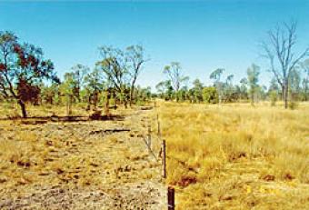 LAND FOR SALE Nairobi