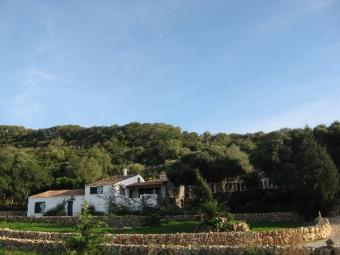 74000 m2  FINCA in MENORCA Mahon