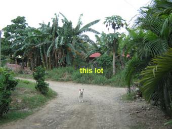 FS: lot in Bacaca  Road Davao