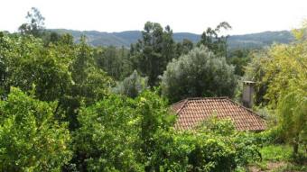 Property near Ponte de Golf Club Ponte Do Lima