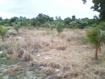 beach front land 1600 square Pattaya