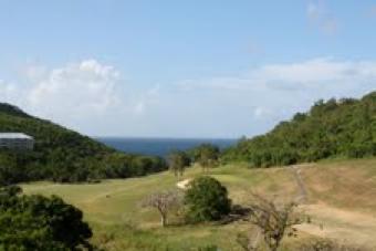 WOW ! Only $299,000! Two bd two Charlotte Amalie