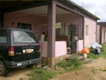 Retire in the Country, Call me Dangriga