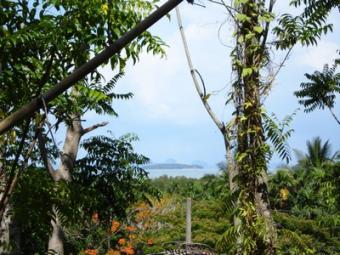 Stunning East Coast Sea View Ko Lanta Yai