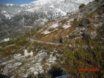 Palampur � 5.3 Kanal � Comm Land Palampur