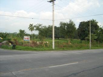 30,000 sqm Lot For Sale Koronadal