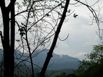 Land for sale at Nikapotha Nikapotah