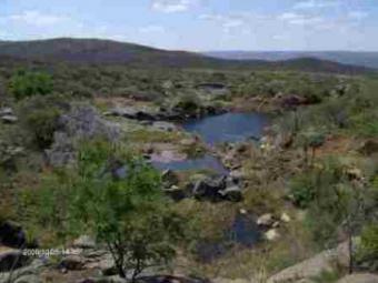 stunning bushveld farm for sale Groblersdal