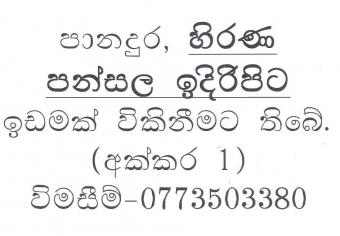 1 Acre Panadura, Hirana