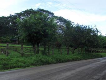 Property for sale in Tola!!! Tola