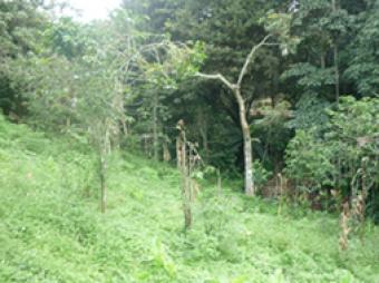 Beutiful land on the hills Escaz�