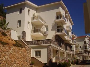 Promotional Price -Best Quality Fethiye