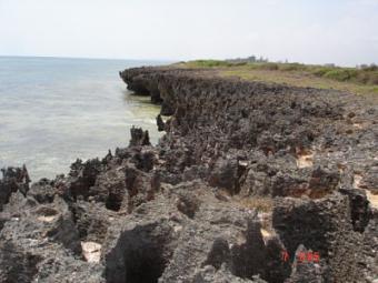 52 ACRES BEACH PLOT Bofa,kilifi,mombasa