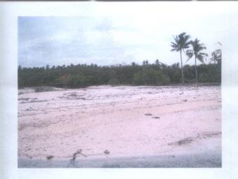 Undevelop Beachfront Property Manila