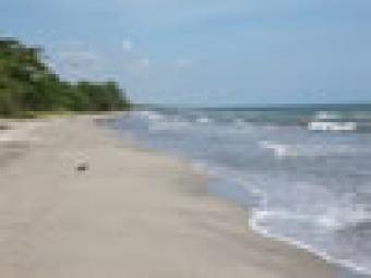 LAS ANTILLAS BEACH HOMES La Ceiba