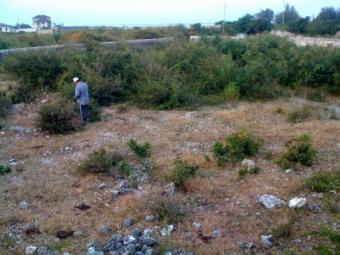BEACH PLOTS FOR SALE Zanzibar