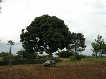 2 acres of land in Maili 6 Moshi