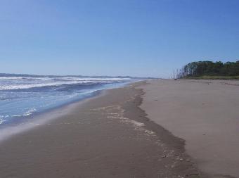 Island In Pacific of Panama Chiriqui