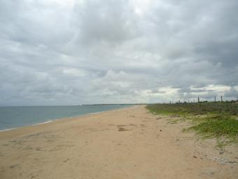 Tropical Sri Lanka Arugam Bay Arugam Bay