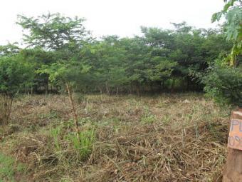 MAKENI /MAJORU PLOTS FOR SALE Lusaka