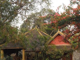 Namsongsaiecolodge Luangprabang