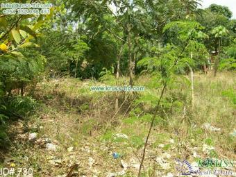Ref 730- 25 Acres land for sale Mombasa