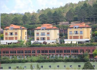 Mr.TANER Istanbul
