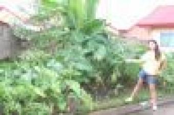 HHACIENDA(TINABANG)PLOT OF LAND Angeles City